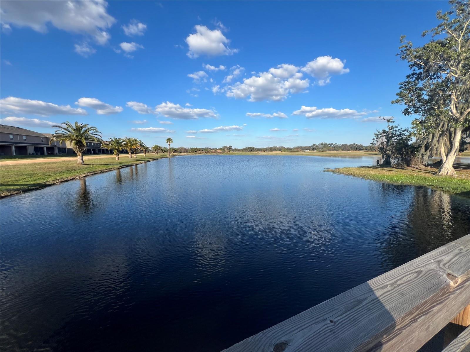 1125 BLUE JAY DR, DAVENPORT, FL, 33837