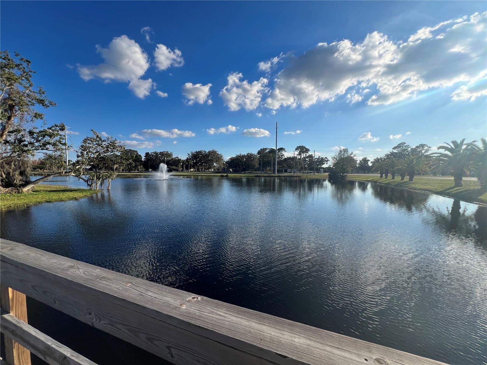 1125 BLUE JAY DR, DAVENPORT, FL, 33837