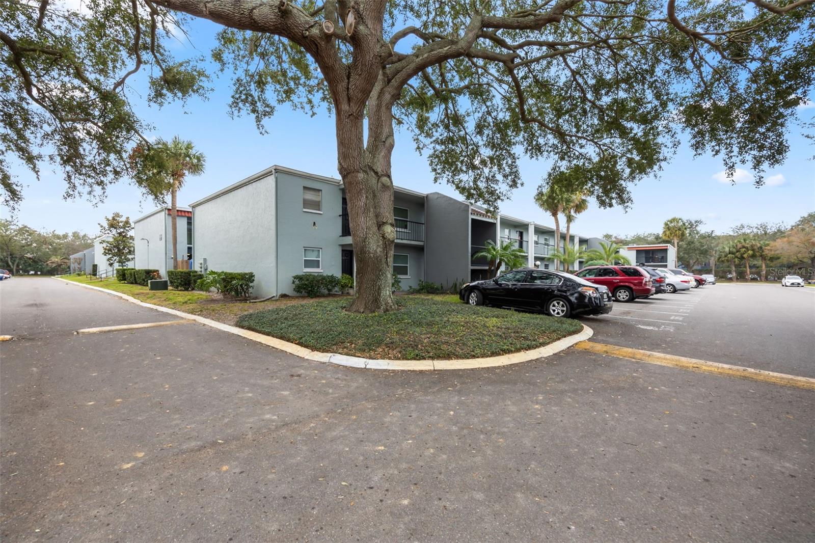 2835 SOMERSET PARK DR #103, TAMPA, FL, 33613