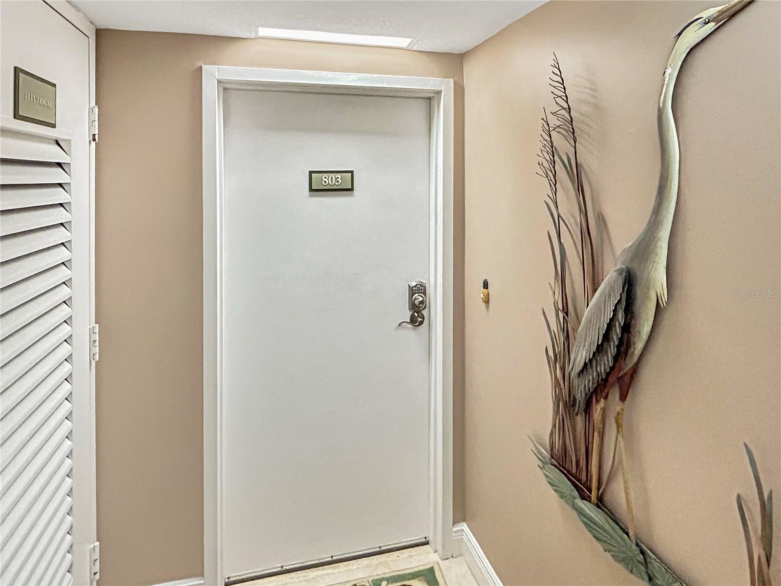 3100 N HIGHWAY A1A #803, HUTCHINSON ISLAND, FL, 34949