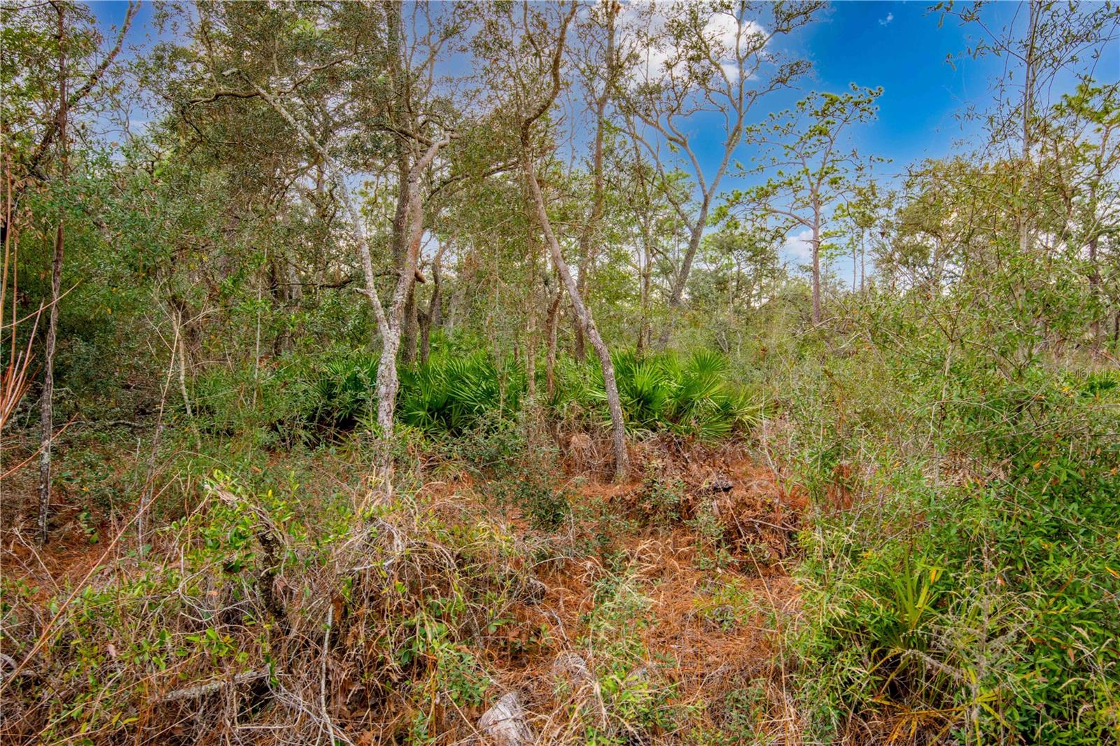7075 SOUTH ST, WEBSTER, FL, 33597