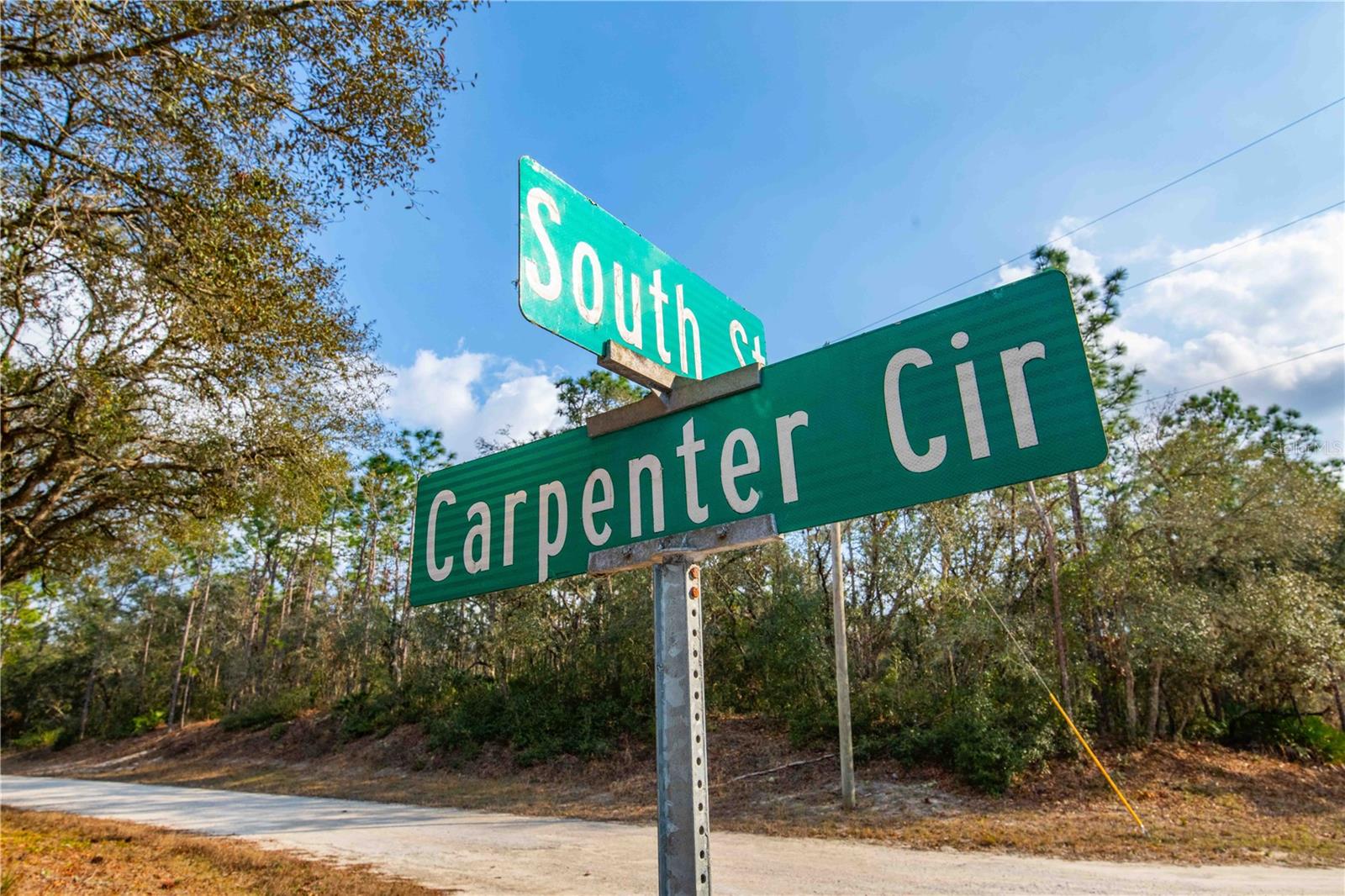 7075 SOUTH ST, WEBSTER, FL, 33597