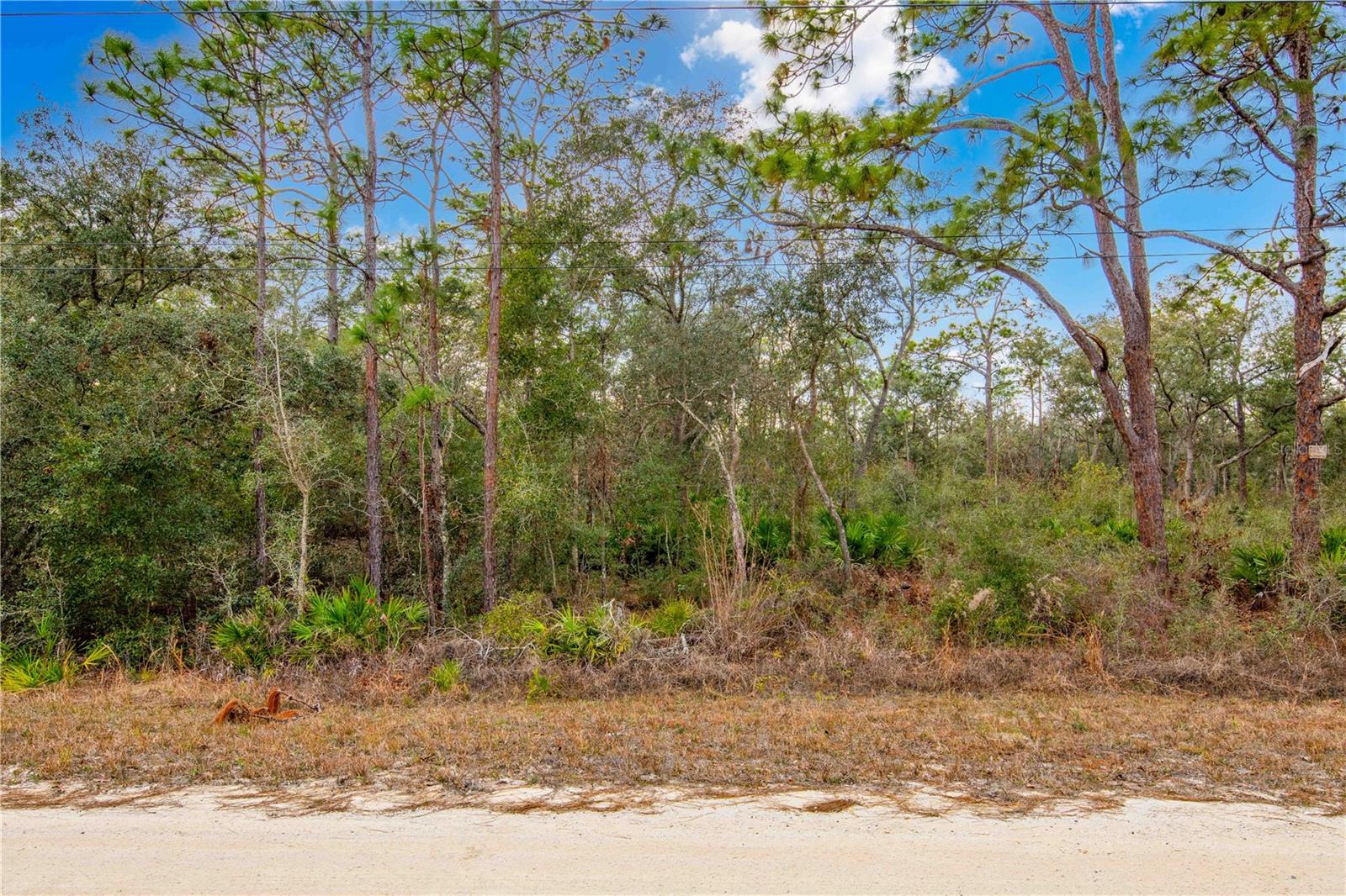 7075 SOUTH ST, WEBSTER, FL, 33597