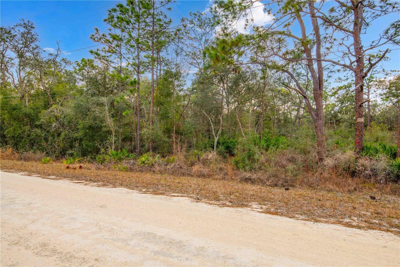 7075 SOUTH ST, WEBSTER, FL, 33597