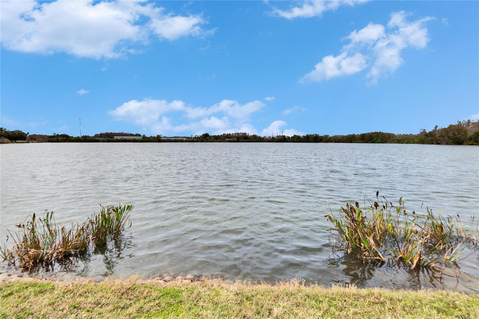 9105 CRYSTAL COMMONS WAY, TAMPA, FL, 33626