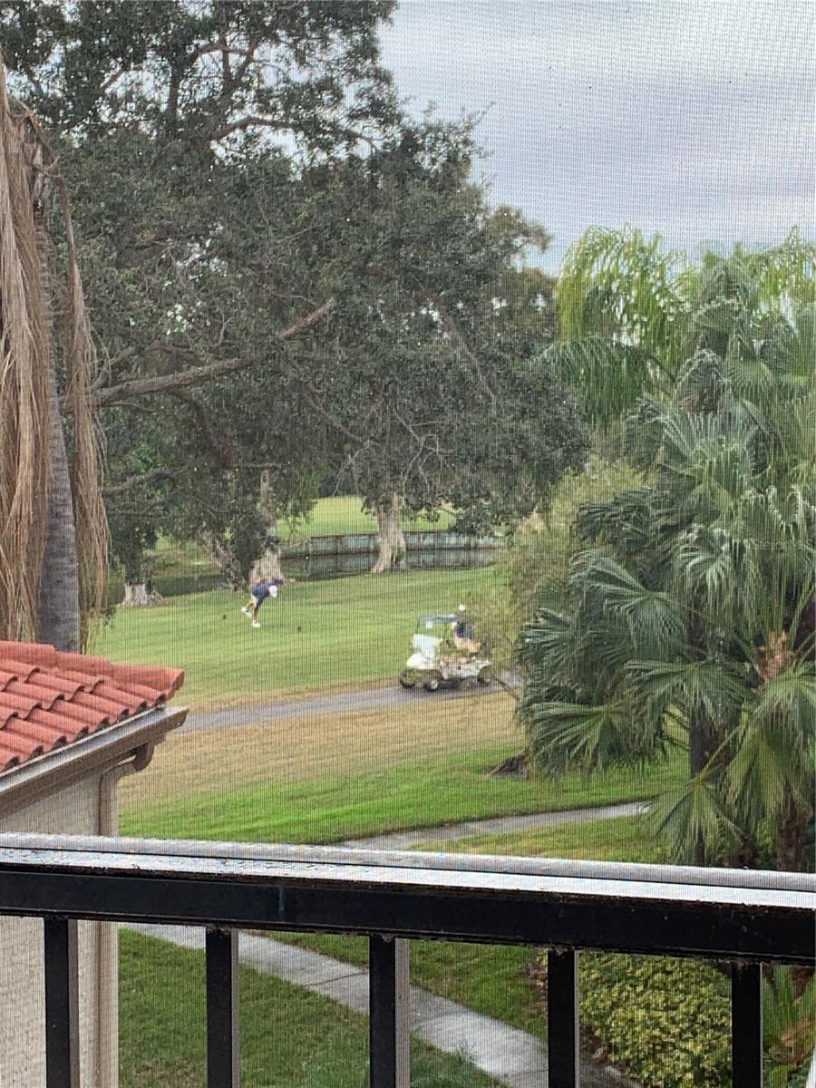 6219 PALMA DEL MAR BLVD S #307, ST PETERSBURG, FL, 33715