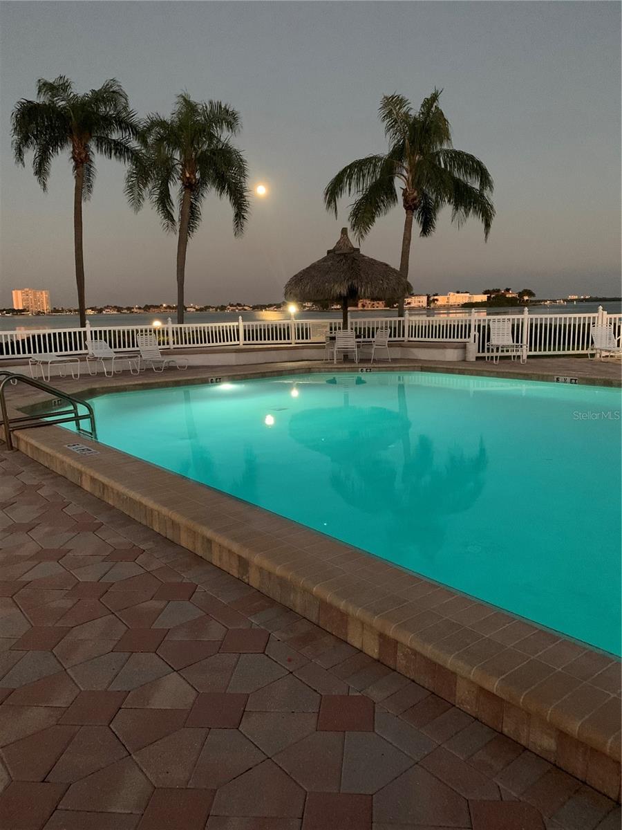 6219 PALMA DEL MAR BLVD S #307, ST PETERSBURG, FL, 33715