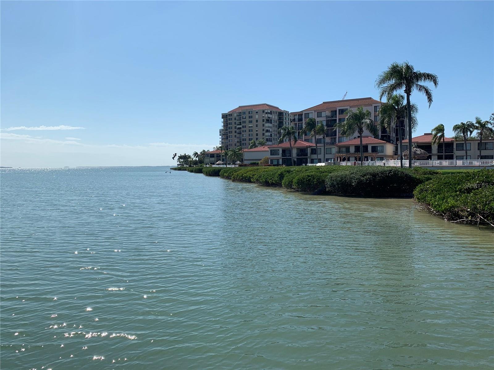 6219 PALMA DEL MAR BLVD S #307, ST PETERSBURG, FL, 33715