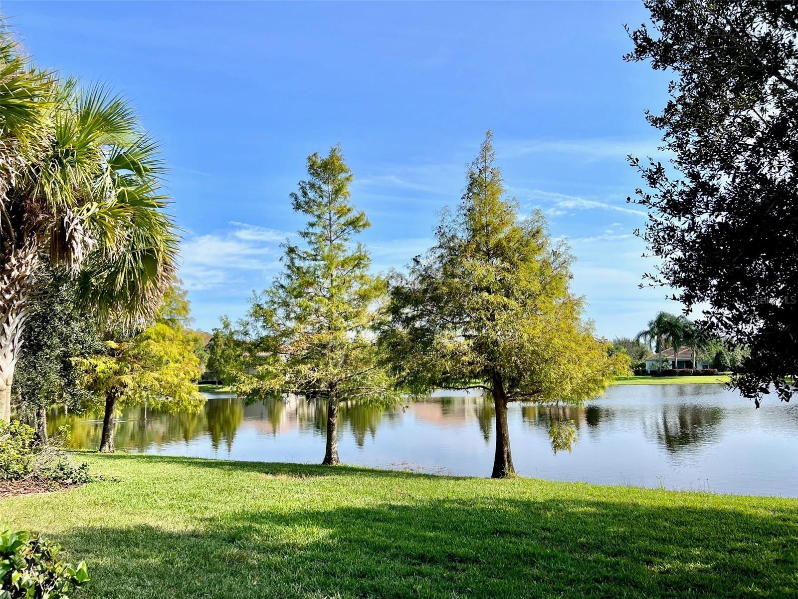 7948 ESTA LN, ORLANDO, FL, 32827