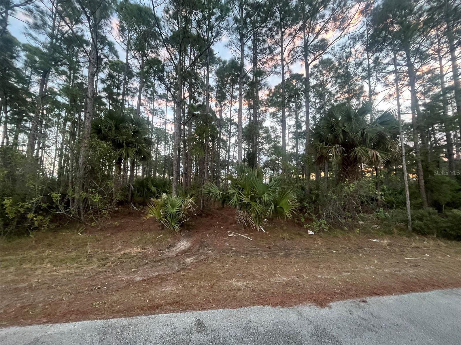 2641 QUINCY AVE SE, PALM BAY, FL, 32909