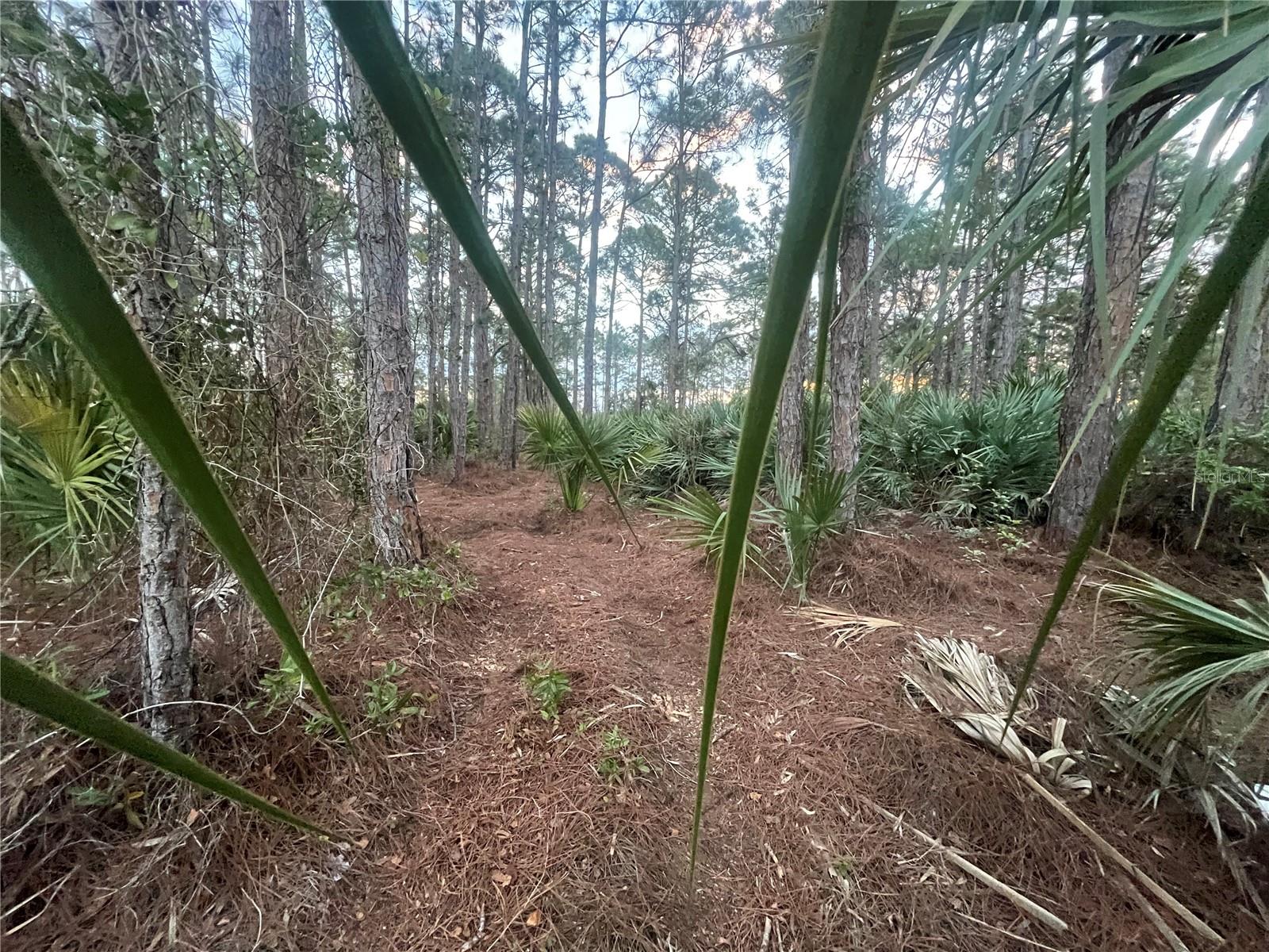 2641 QUINCY AVE SE, PALM BAY, FL, 32909