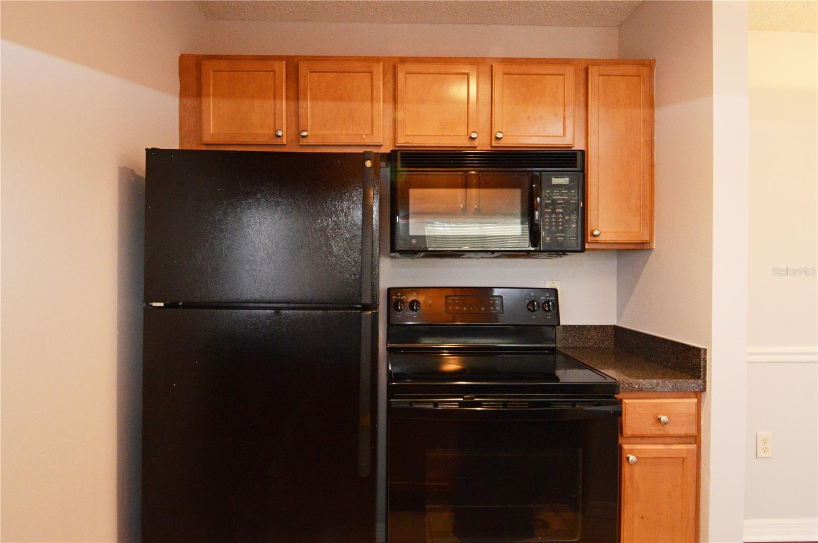 302 LAKE PARSONS GRN #202, BRANDON, FL, 33511