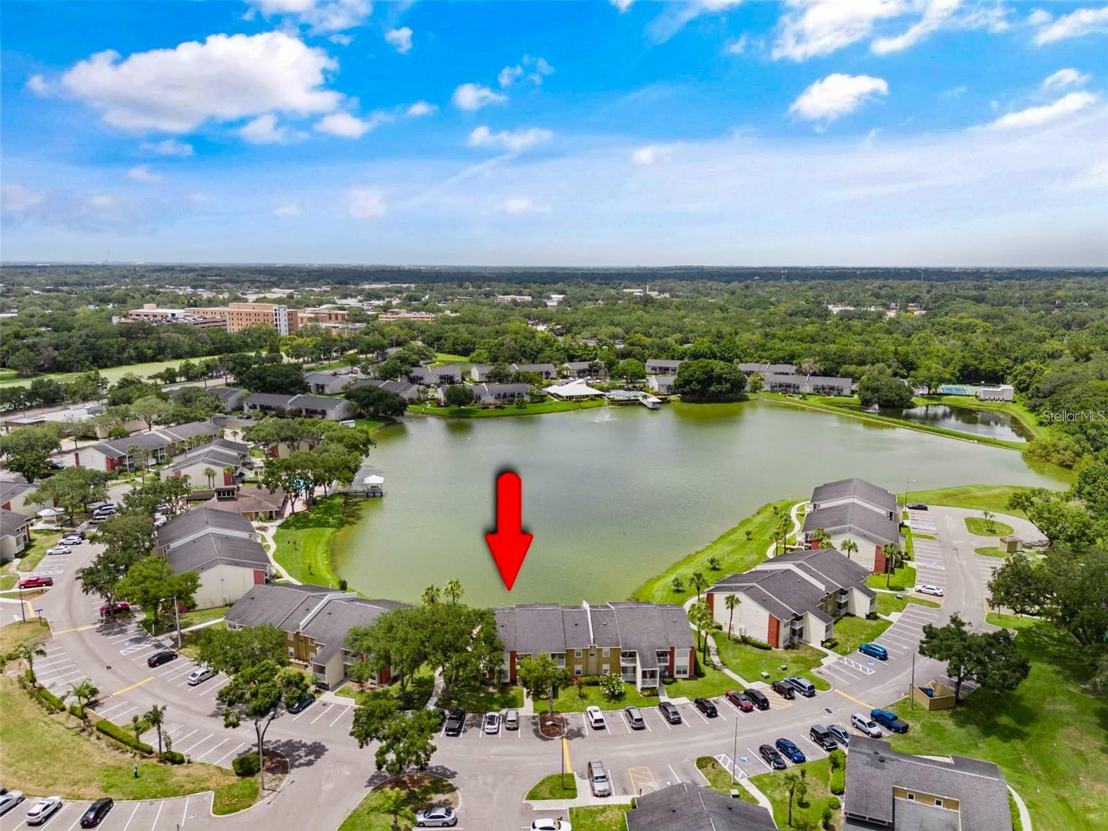 302 LAKE PARSONS GRN #202, BRANDON, FL, 33511