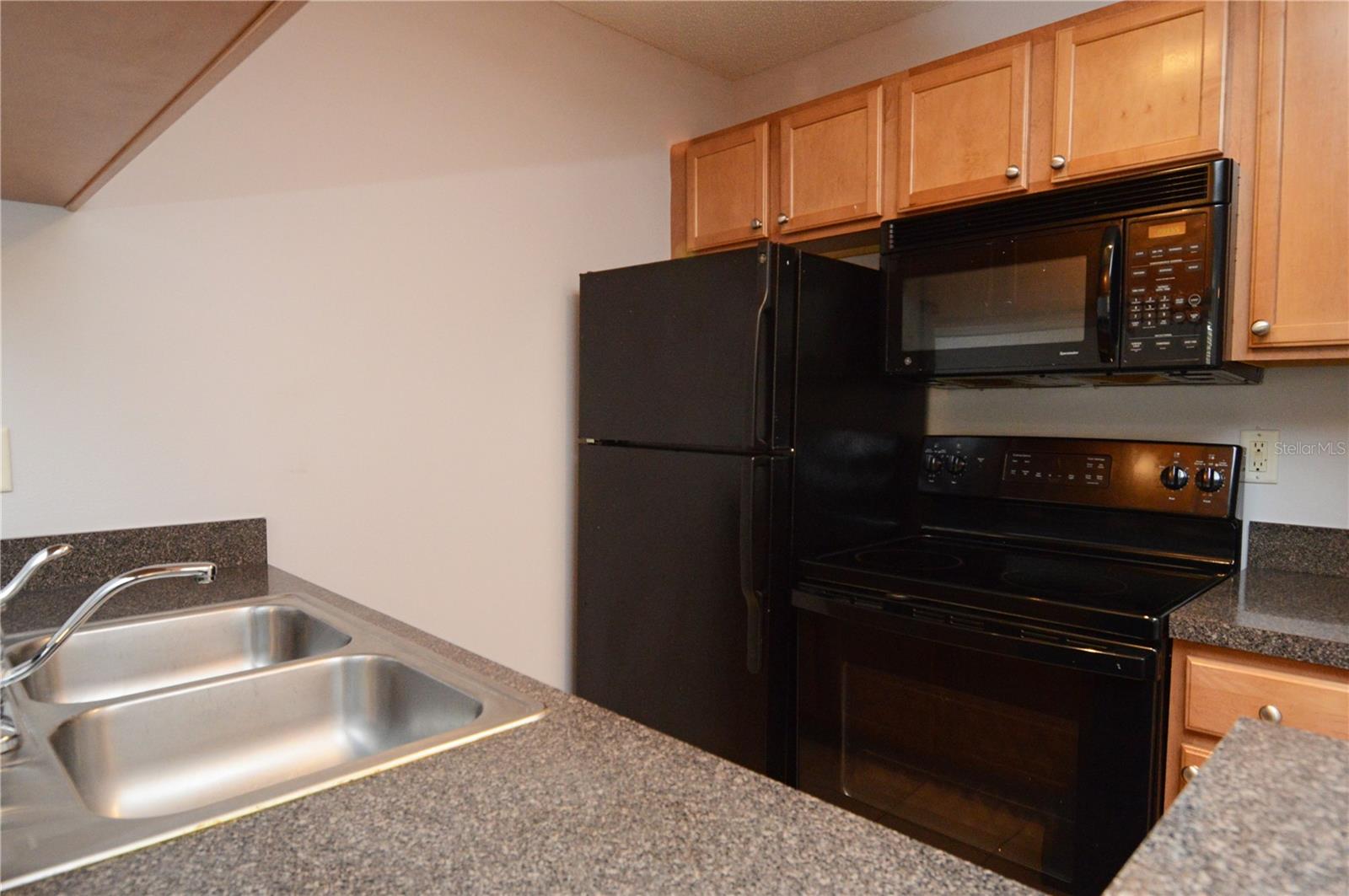 302 LAKE PARSONS GRN #202, BRANDON, FL, 33511