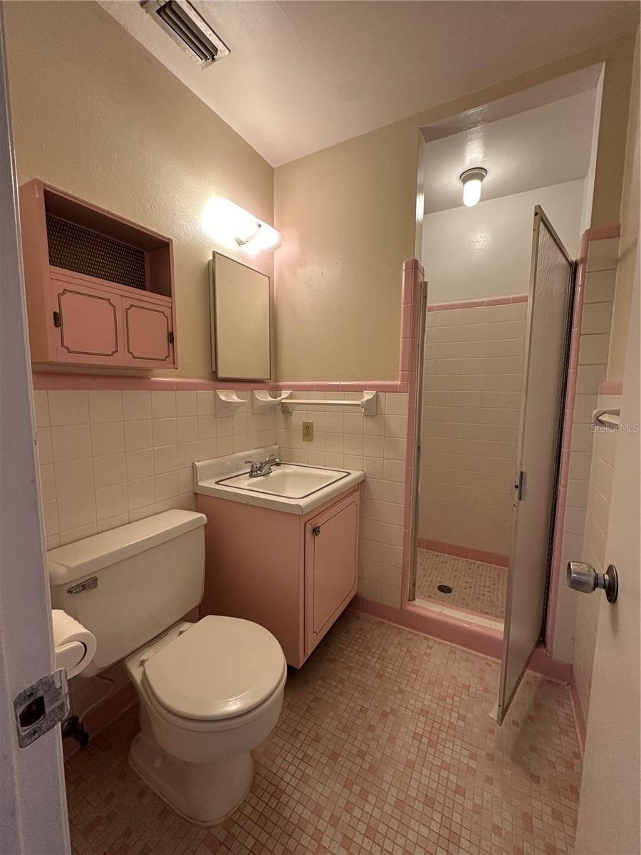 536 N ALEXANDER ST, MOUNT DORA, FL, 32757