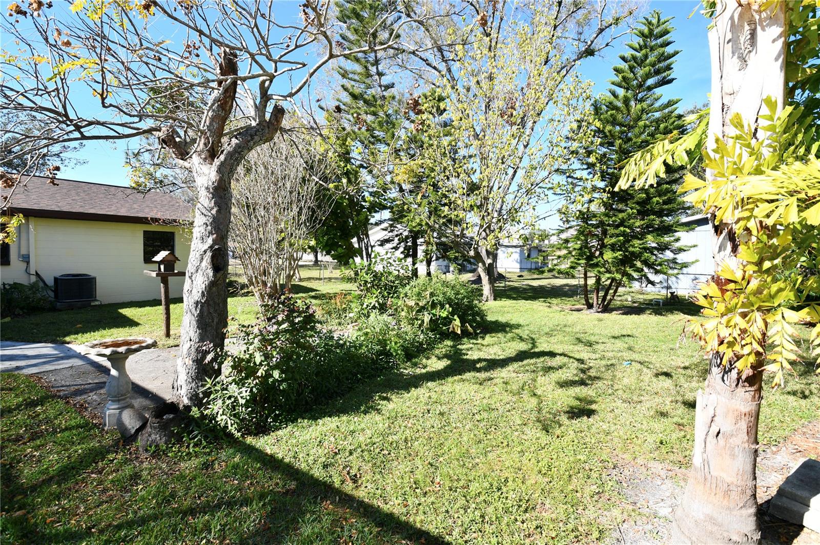 4409 ANN ARBOR DR, TAMPA, FL, 33610
