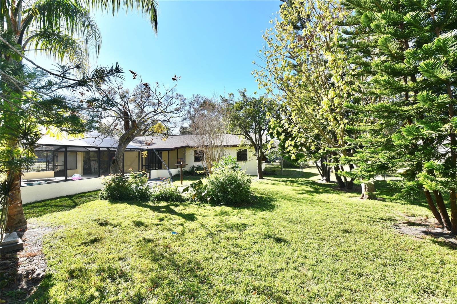 4409 ANN ARBOR DR, TAMPA, FL, 33610