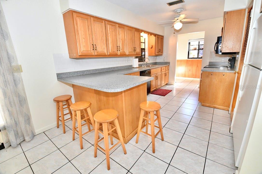4409 ANN ARBOR DR, TAMPA, FL, 33610