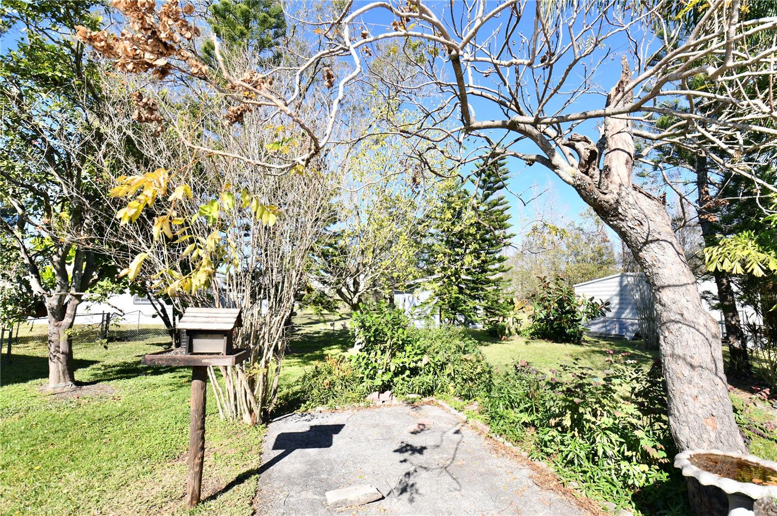 4409 ANN ARBOR DR, TAMPA, FL, 33610