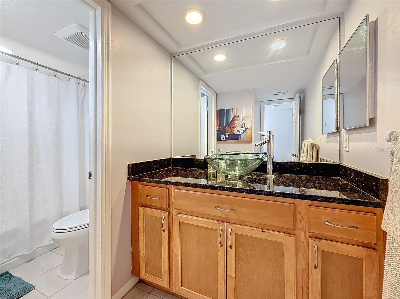 13600 EGRET BLVD #204K, CLEARWATER, FL, 33762