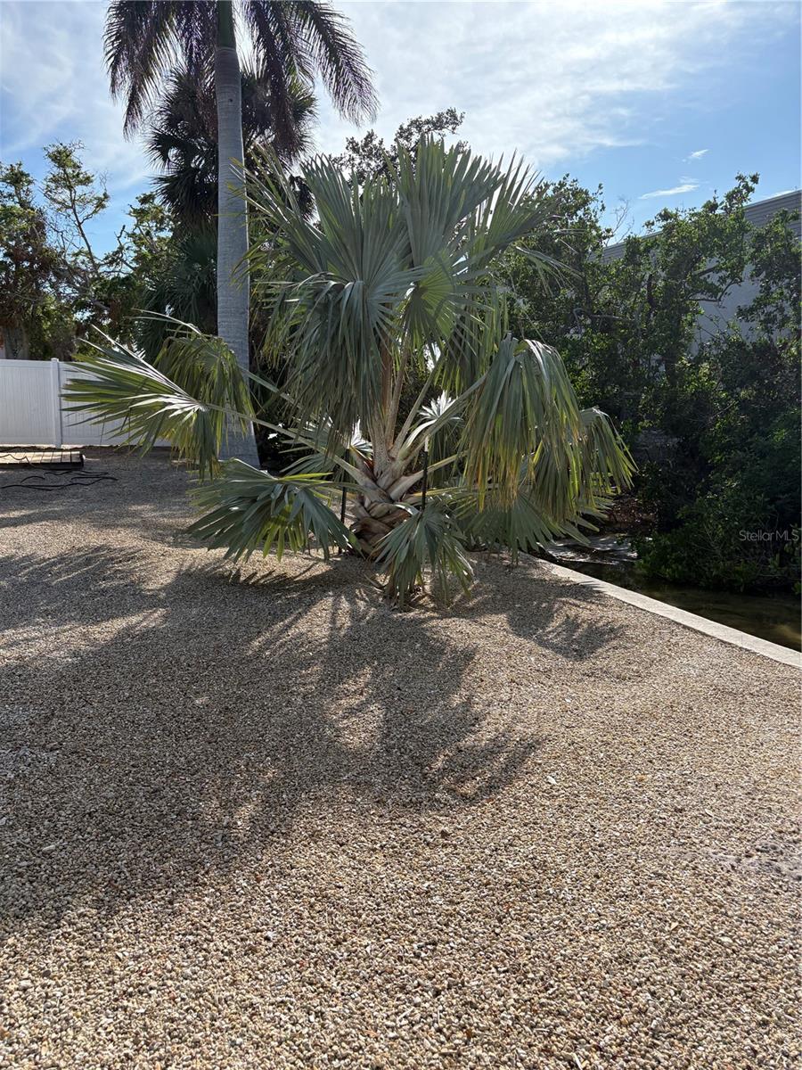 5032 CALLE MINORGA, SARASOTA, FL, 34242