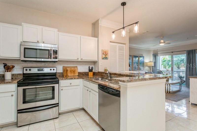 4207 S DALE MABRY HWY #11103, TAMPA, FL, 33611