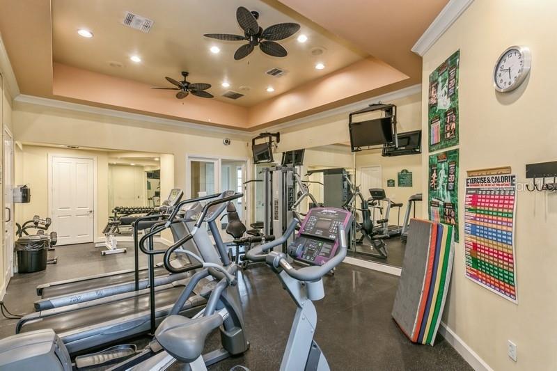 4207 S DALE MABRY HWY #11103, TAMPA, FL, 33611