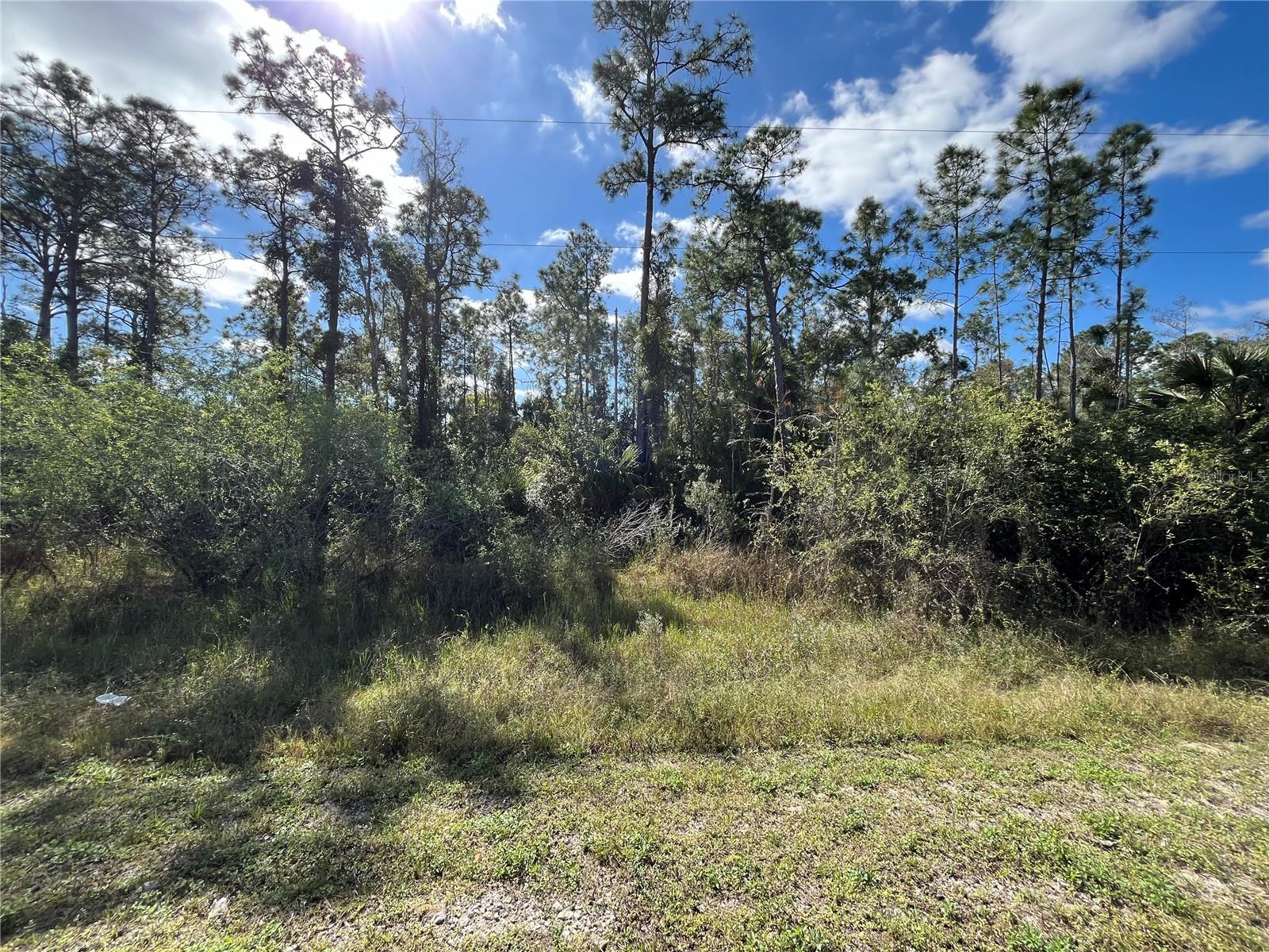 8551 BUCKINGHAM RD, FORT MYERS, FL, 33905