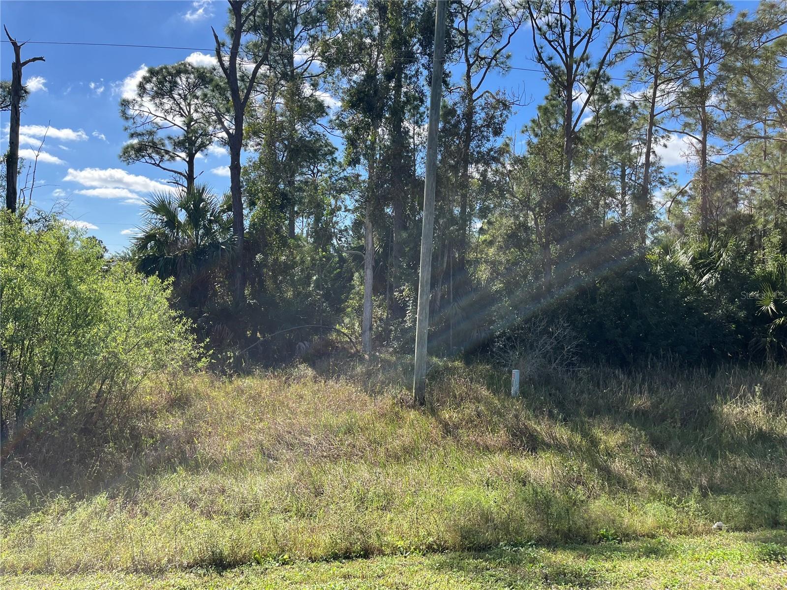 8551 BUCKINGHAM RD, FORT MYERS, FL, 33905