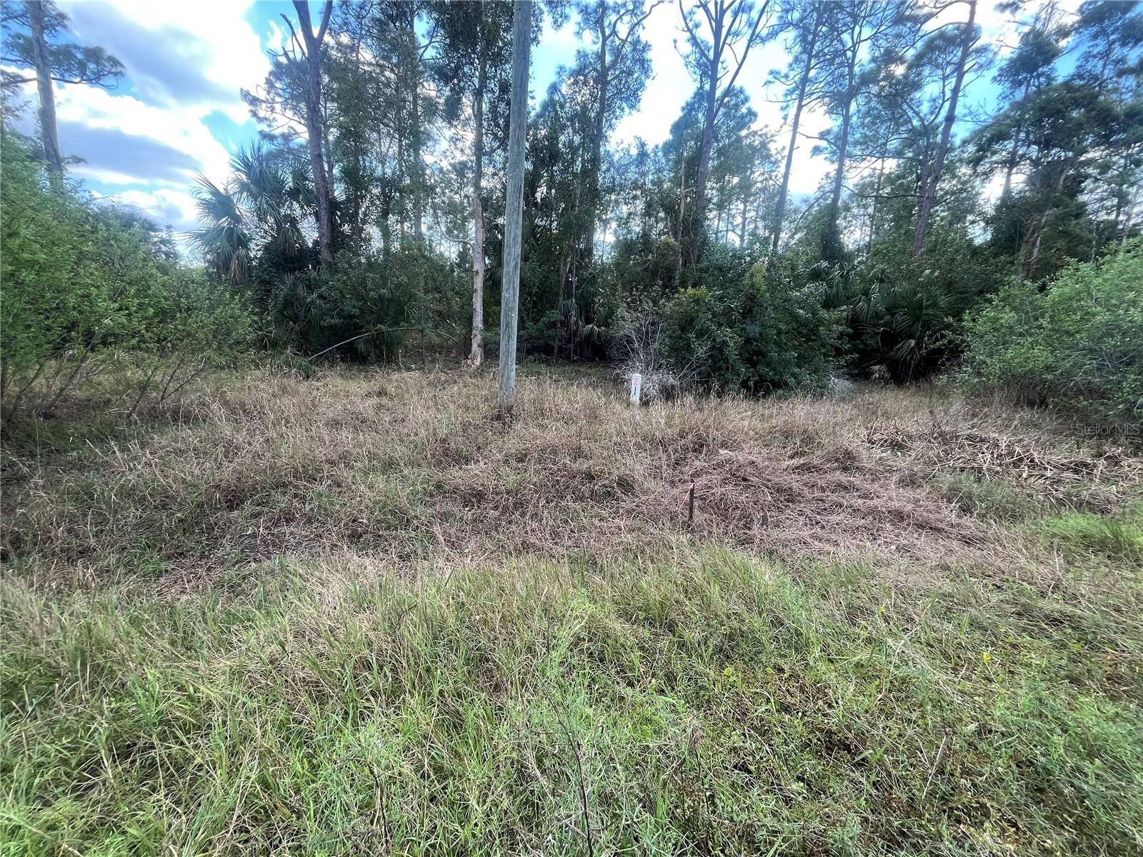 8551 BUCKINGHAM RD, FORT MYERS, FL, 33905