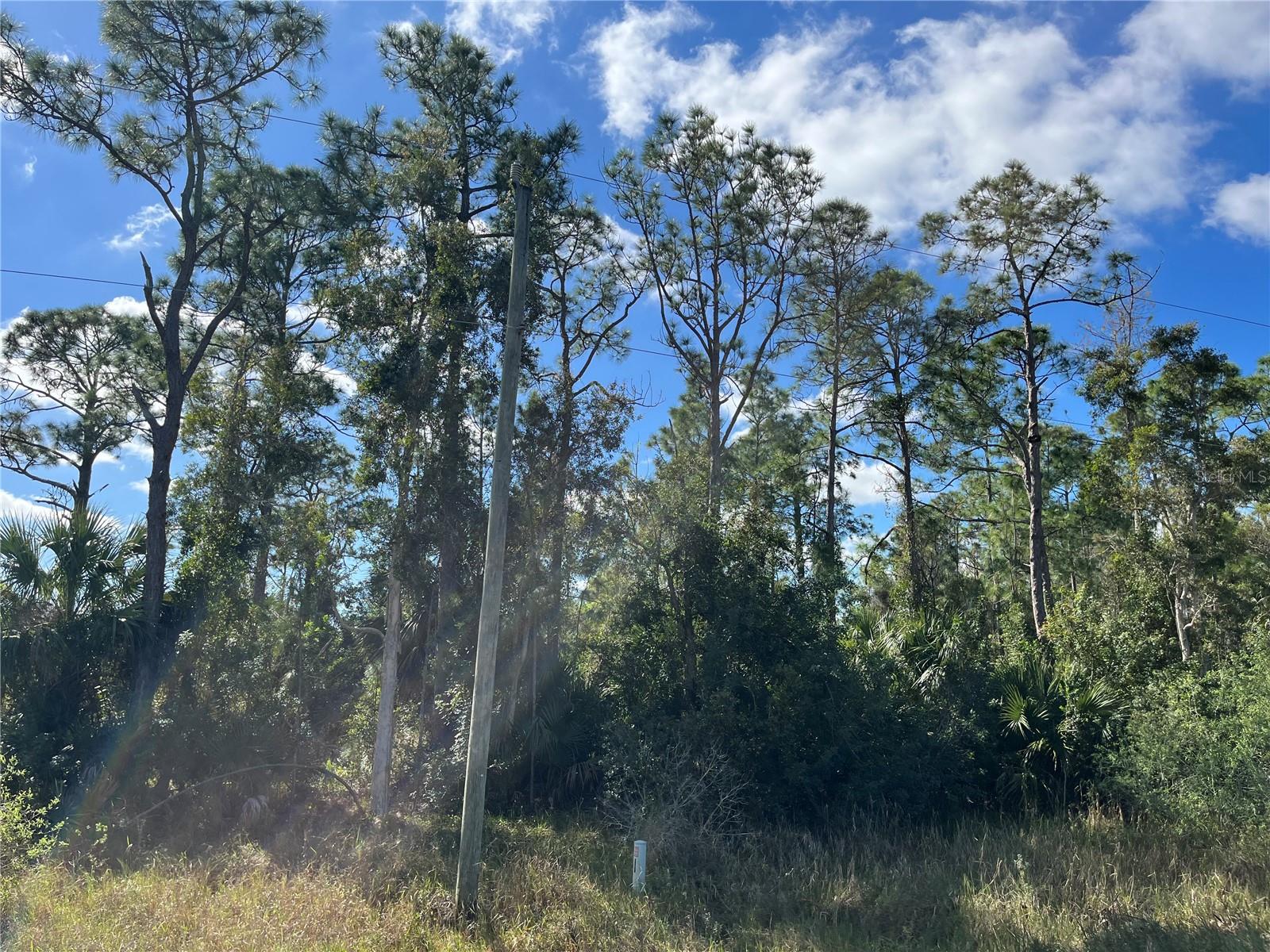 8551 BUCKINGHAM RD, FORT MYERS, FL, 33905