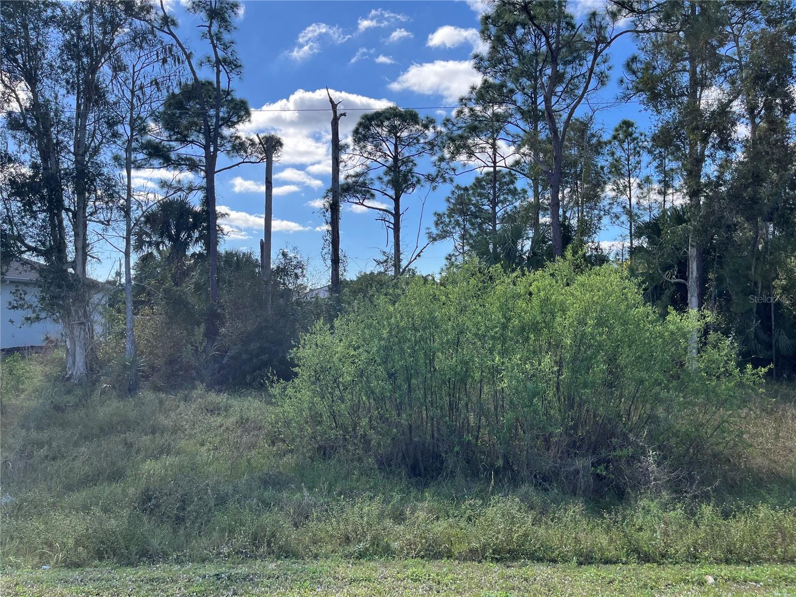 8551 BUCKINGHAM RD, FORT MYERS, FL, 33905