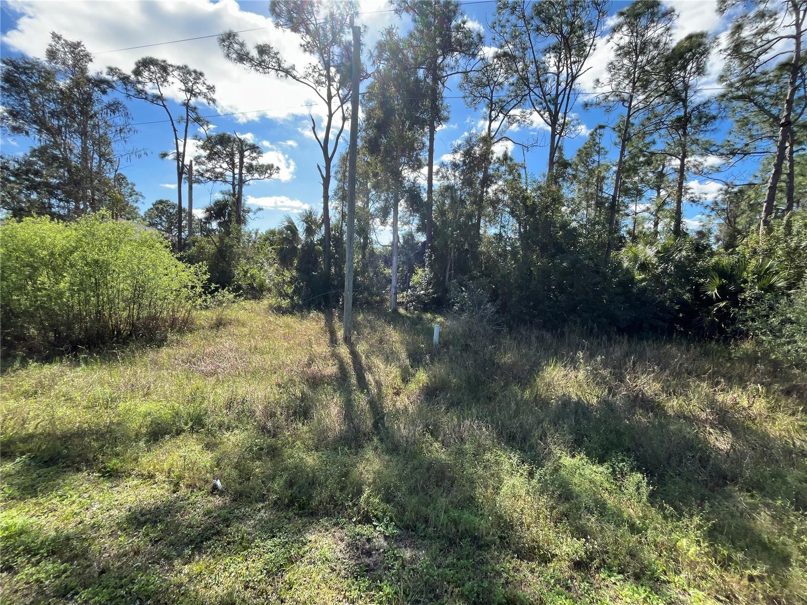 8551 BUCKINGHAM RD, FORT MYERS, FL, 33905