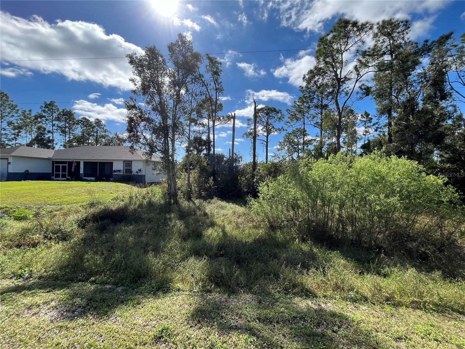 8551 BUCKINGHAM RD, FORT MYERS, FL, 33905