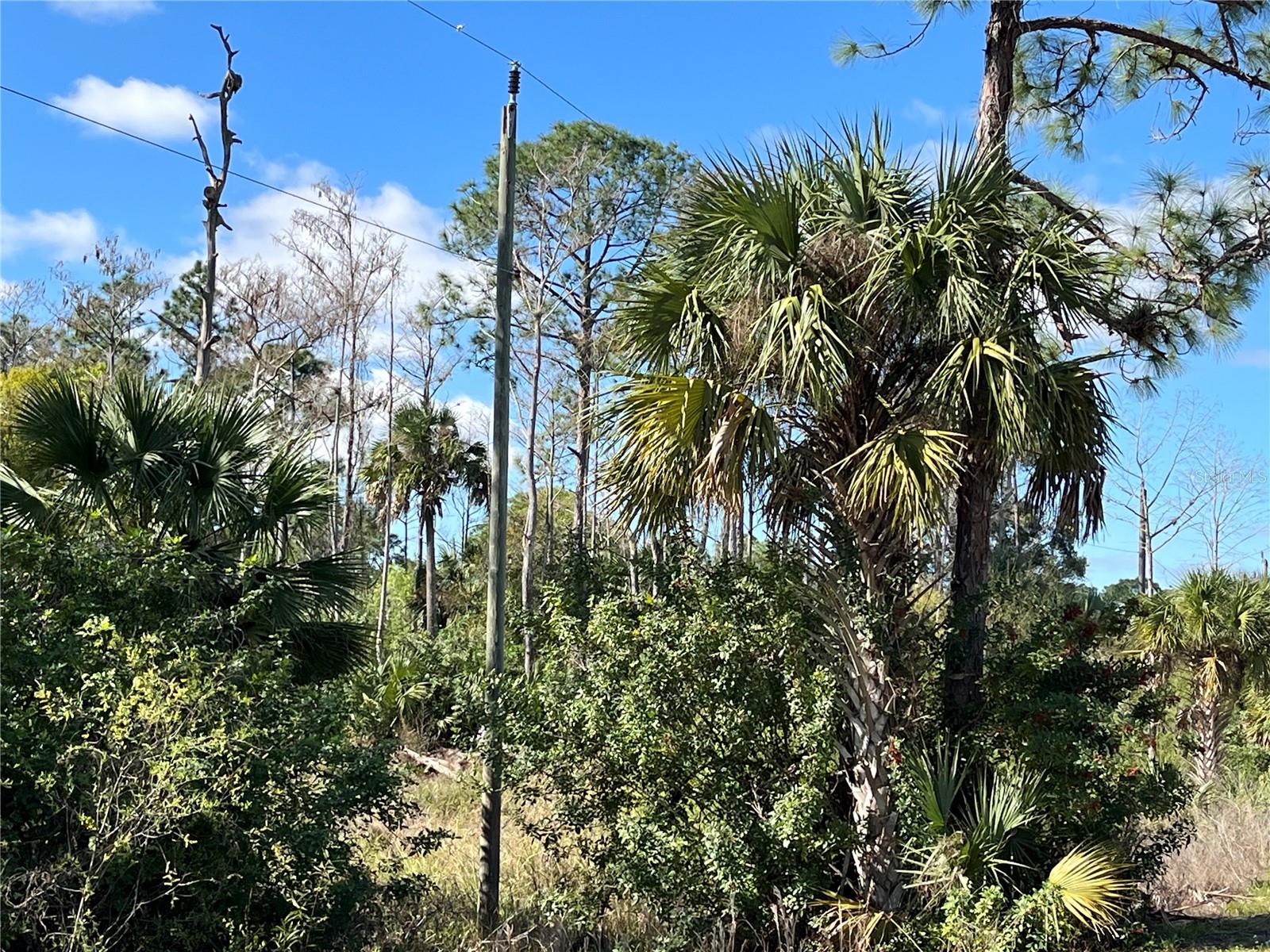 8551 BUCKINGHAM RD, FORT MYERS, FL, 33905