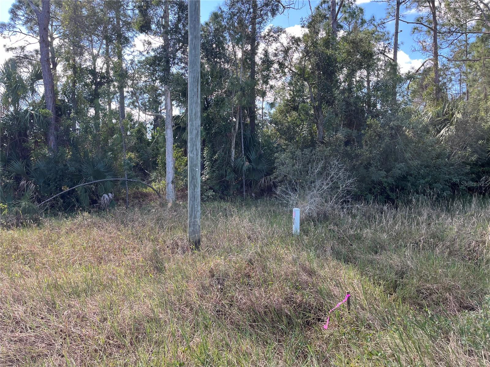 8551 BUCKINGHAM RD, FORT MYERS, FL, 33905