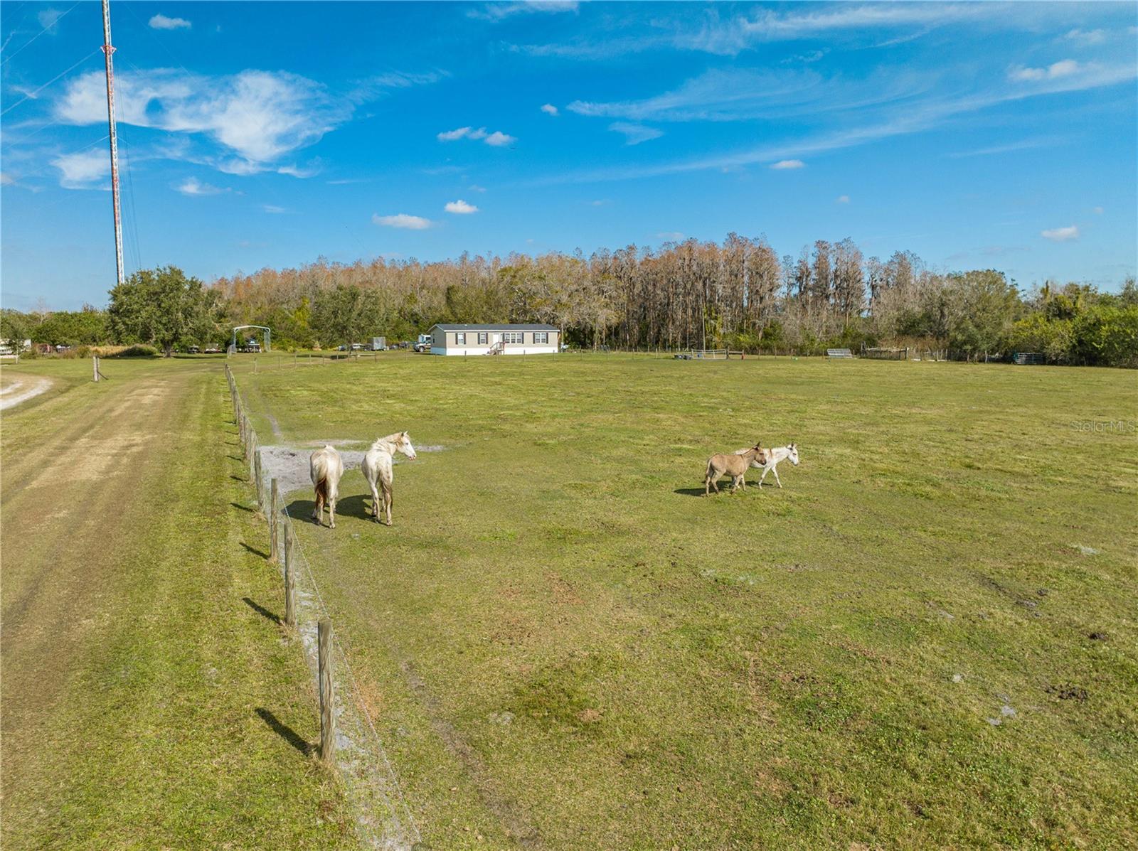 8797 HOLOPAW GROVES RD, ST CLOUD, FL, 34773