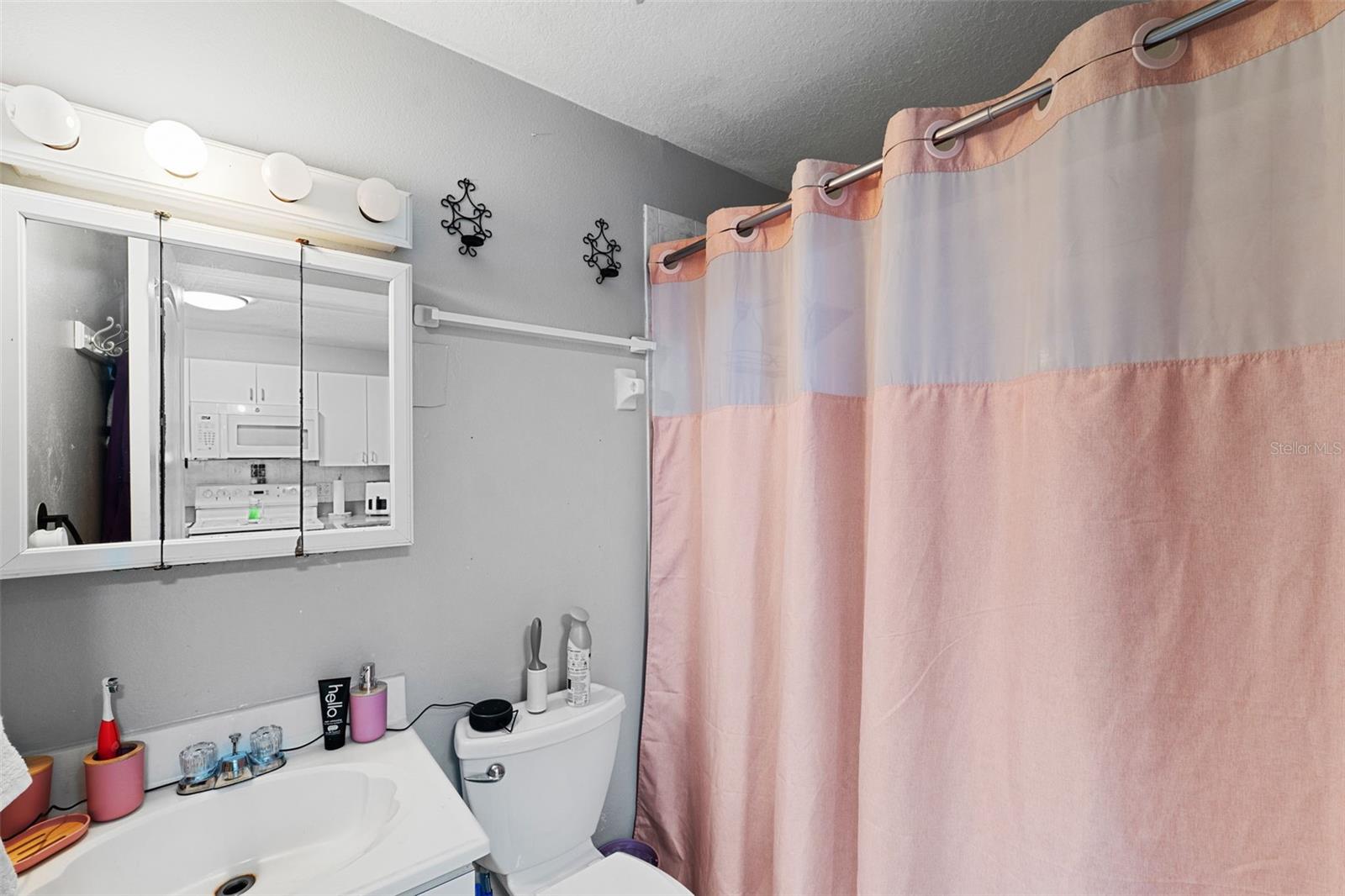 3334 W HEITER ST, TAMPA, FL, 33607