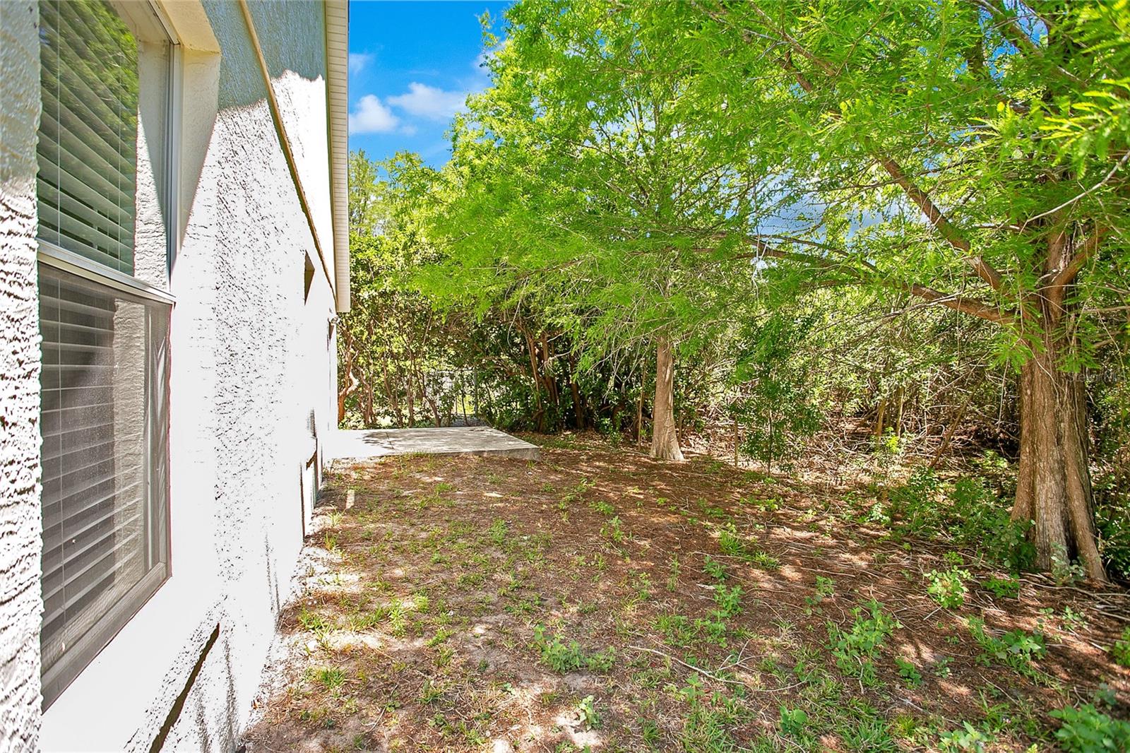441 TREE SHORE DR, ORLANDO, FL, 32825