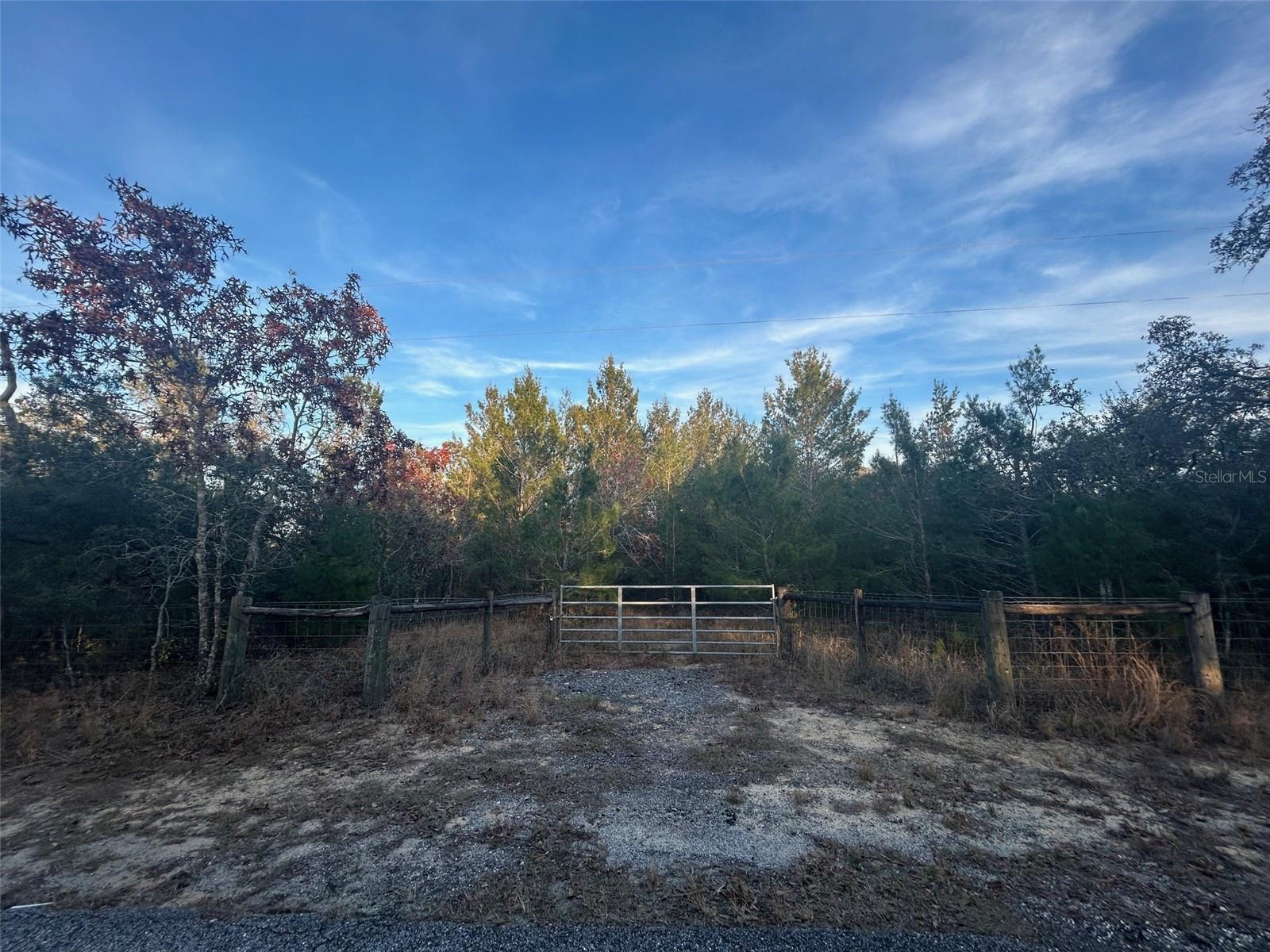 0 BLACK BEAR LN, WINTER GARDEN, FL, 34787