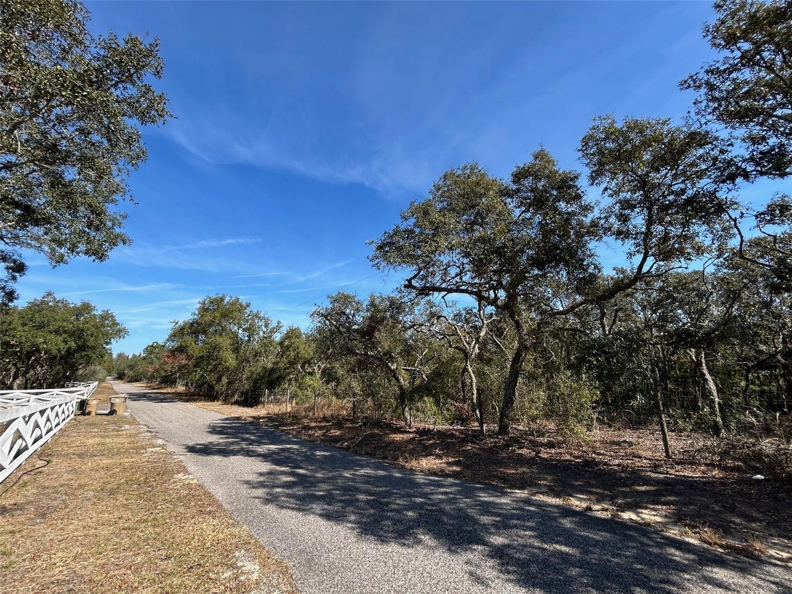 0 BLACK BEAR LN, WINTER GARDEN, FL, 34787