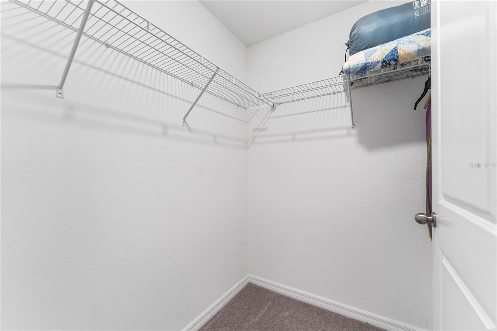 7227 SWEET ALYSSUM CT, TAMPA, FL, 33619