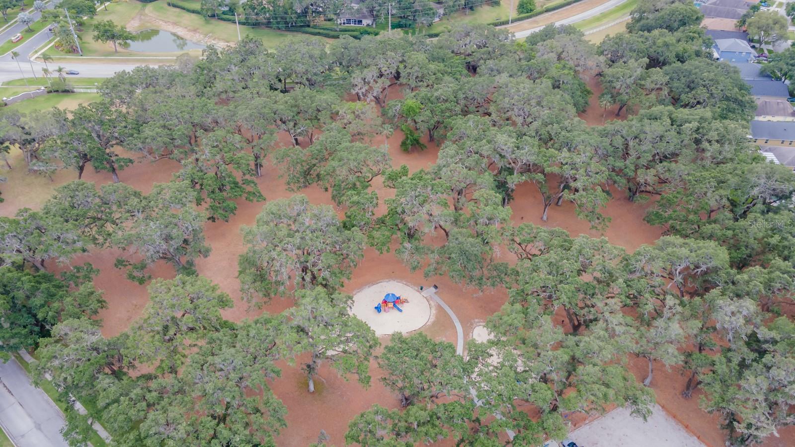 5206 WHISPERING LEAF TRL, VALRICO, FL, 33596
