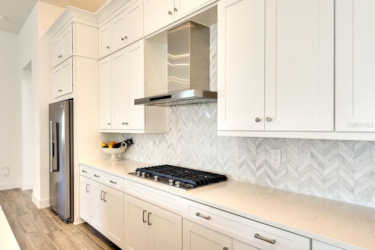 8066 REDONDA LOOP, BRADENTON, FL, 34202