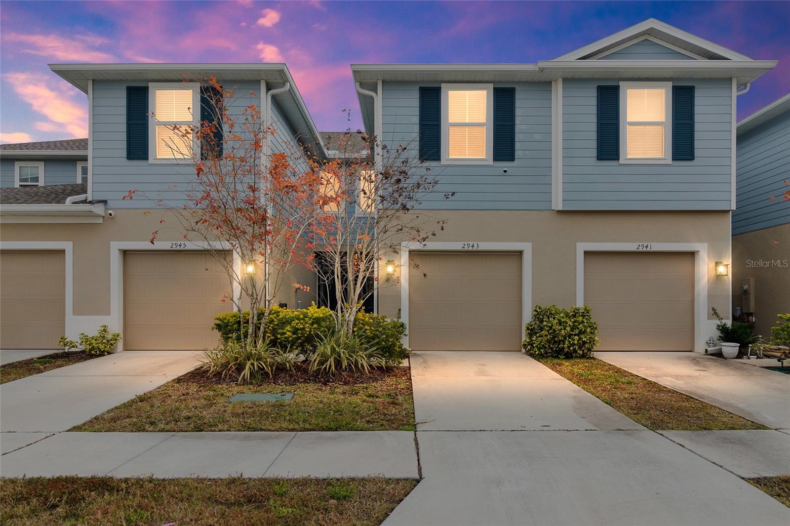 2943 RAMBLER IVY LOOP, BRANDON, FL, 33510