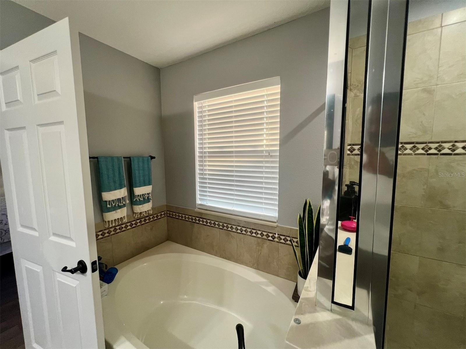 4702 GREYCLIFF PRAIRIE DR, KISSIMMEE, FL, 34758