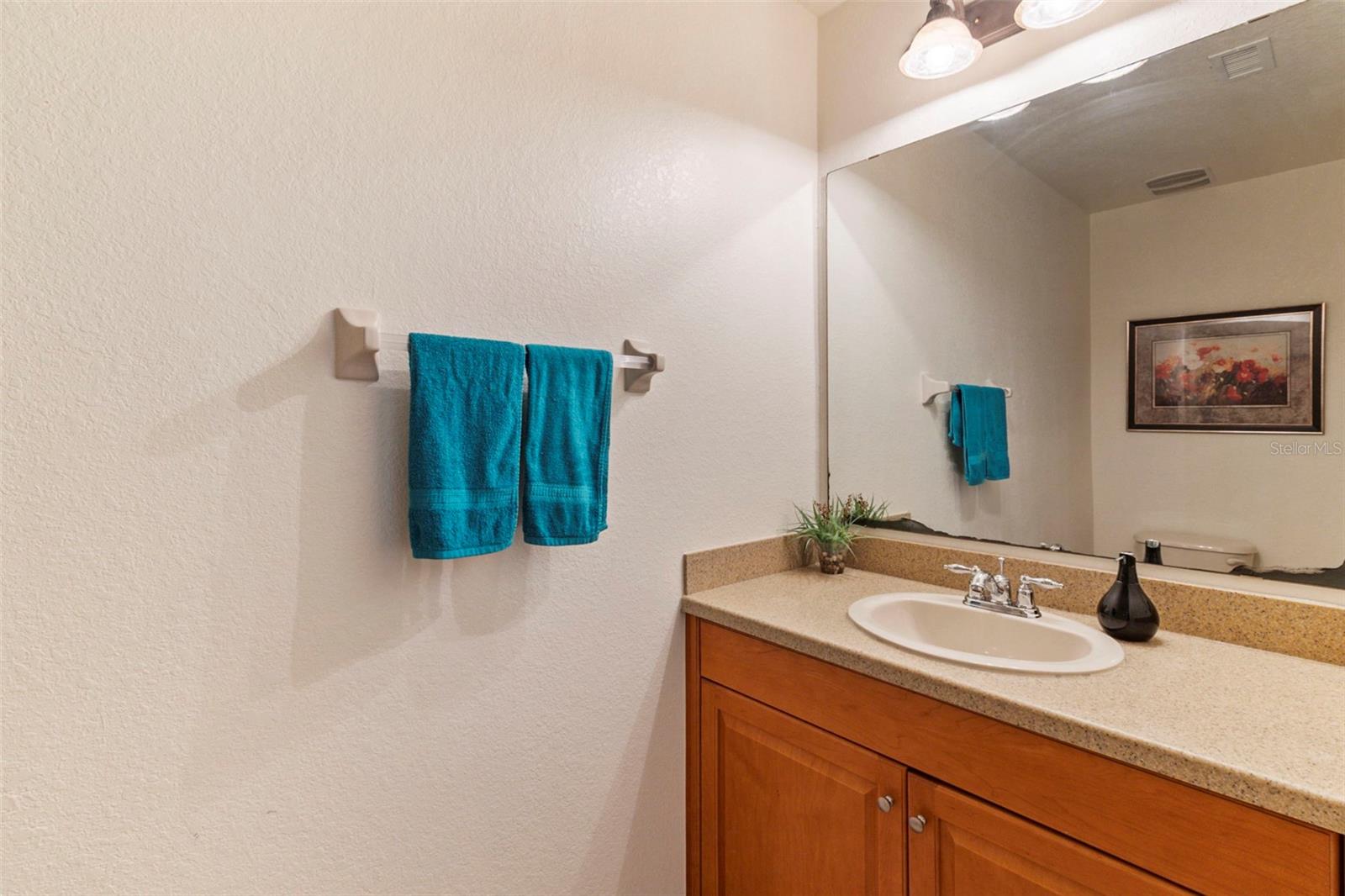 BOCA LAGO/VIVANTE 06, PUNTA GORDA, FL, 33950