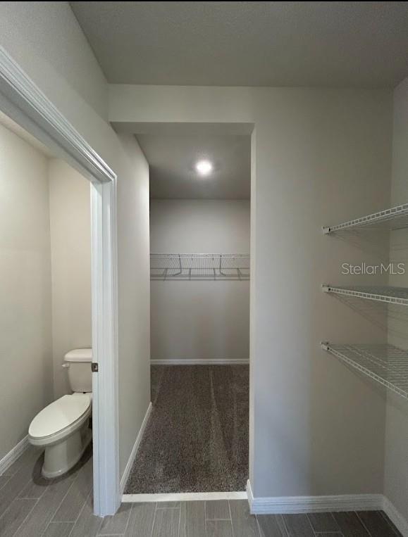 3807 RADIANT MOUNTAIN DR, PLANT CITY, FL, 33565