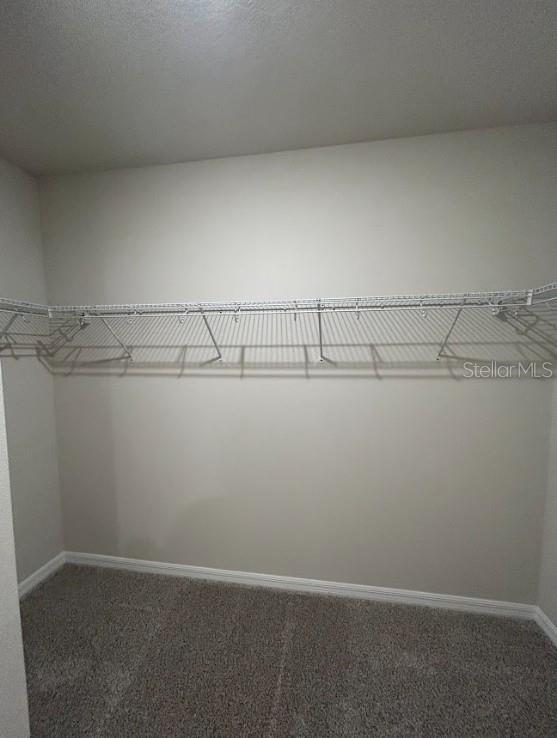 3807 RADIANT MOUNTAIN DR, PLANT CITY, FL, 33565