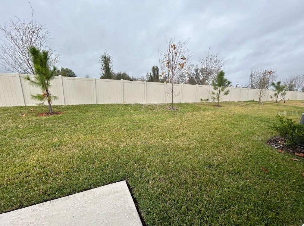 3807 RADIANT MOUNTAIN DR, PLANT CITY, FL, 33565